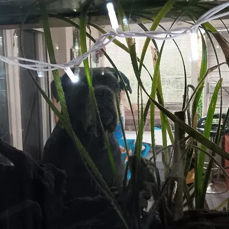 Le Bunker Du Pilote منزل للإقامة Le Taillan-Médoc