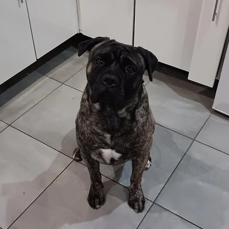 Kwatera prywatna Le Bunker Du Pilote *