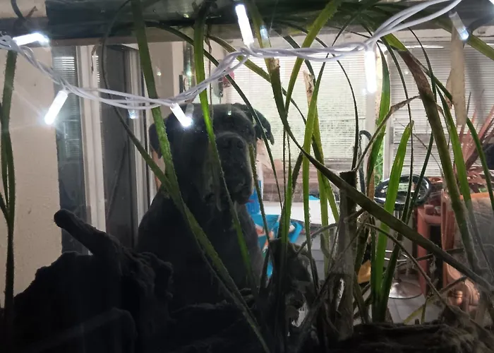 Le Bunker Du Pilote Ubytování v soukromí Le Taillan-Médoc