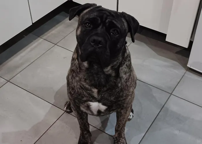 Kwatera prywatna Le Bunker Du Pilote *