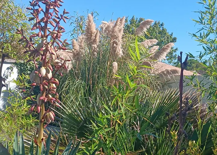 Le Bunker Du Pilote Ubytování v soukromí *
